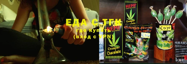 индика Киреевск