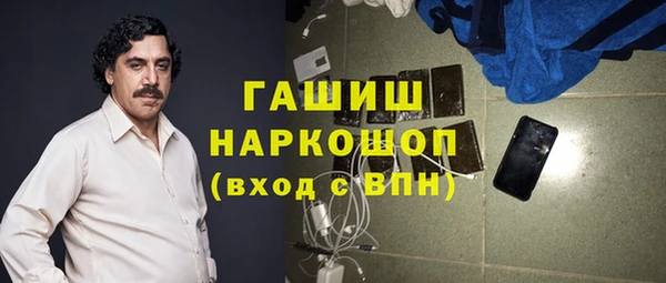 индика Киреевск