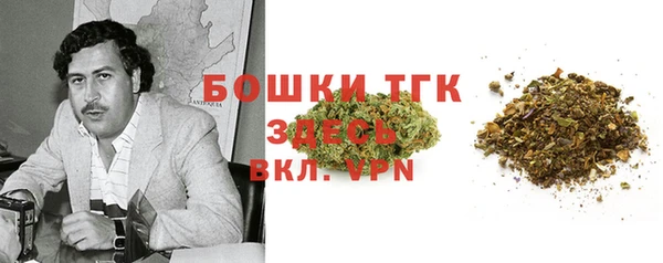 гидра Кинешма