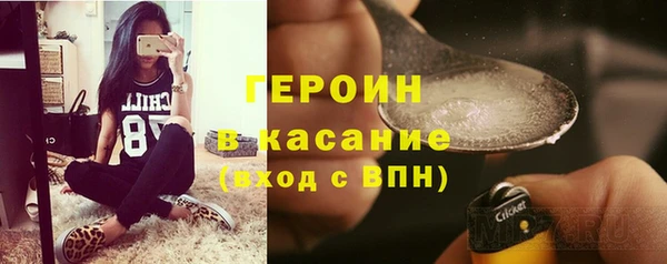индика Киреевск