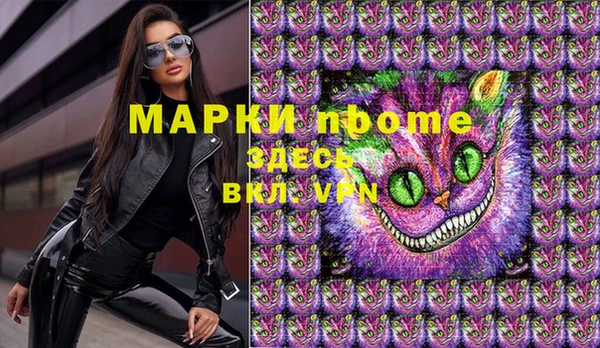индика Киреевск