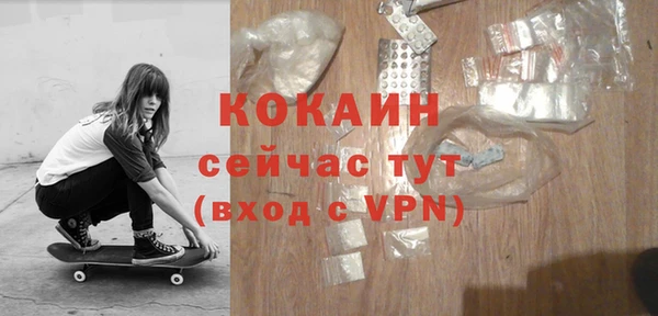гидра Кинешма