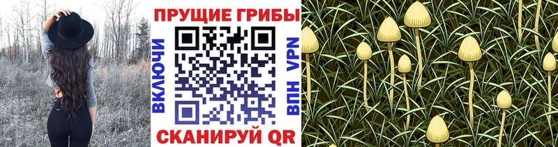 Галлюциногенные грибы мухоморы  Купить  Нея 